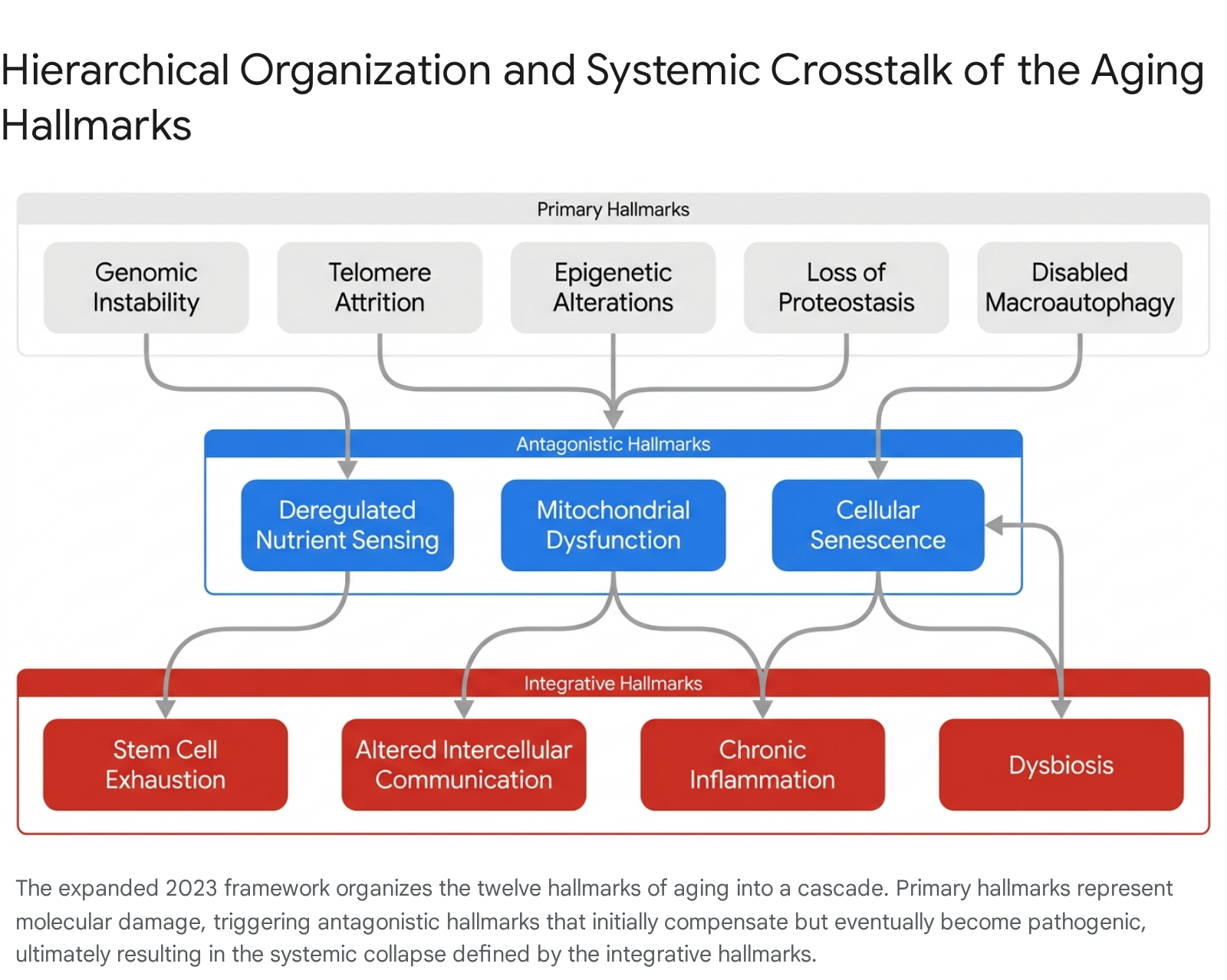 Research chart 1