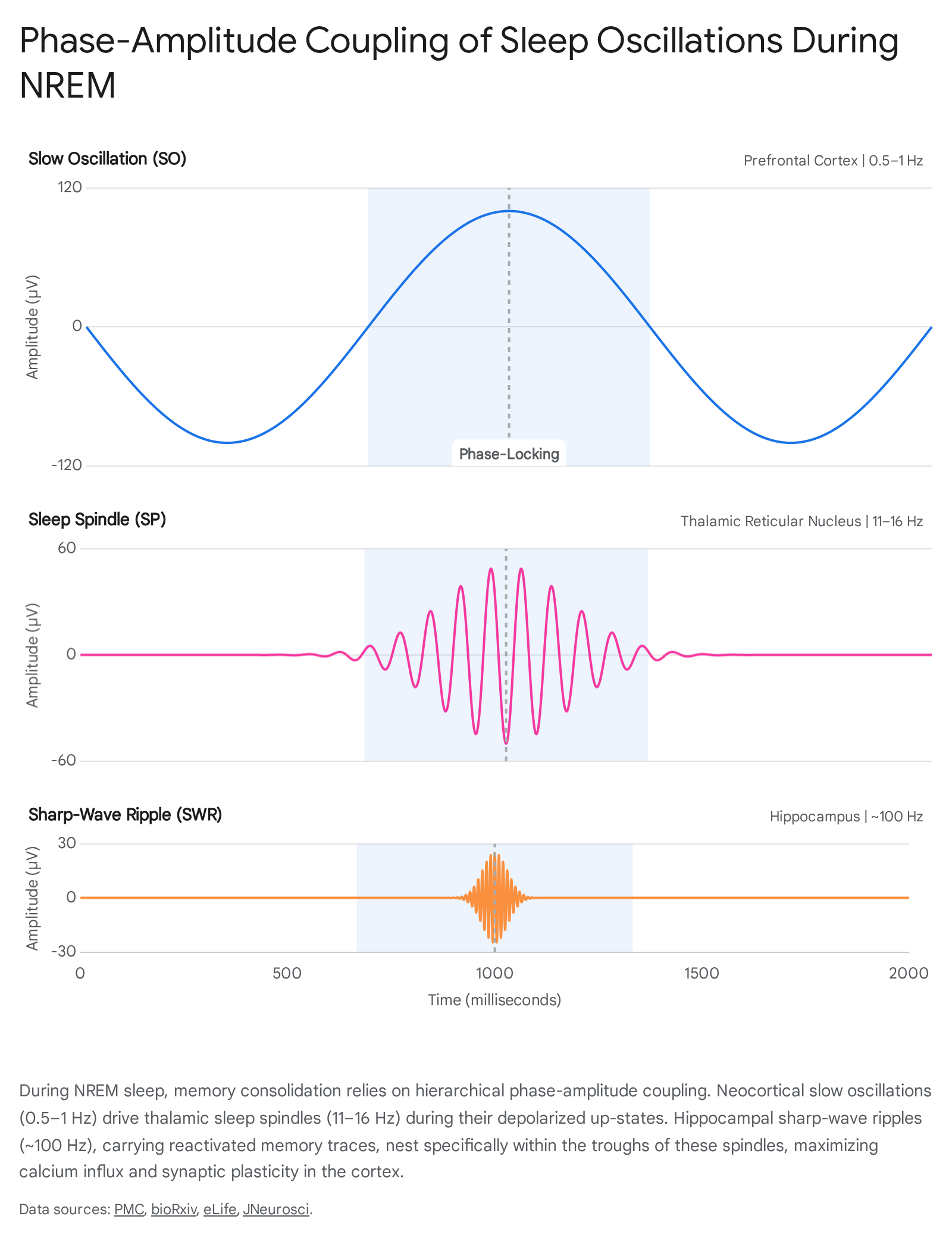 Research chart 1
