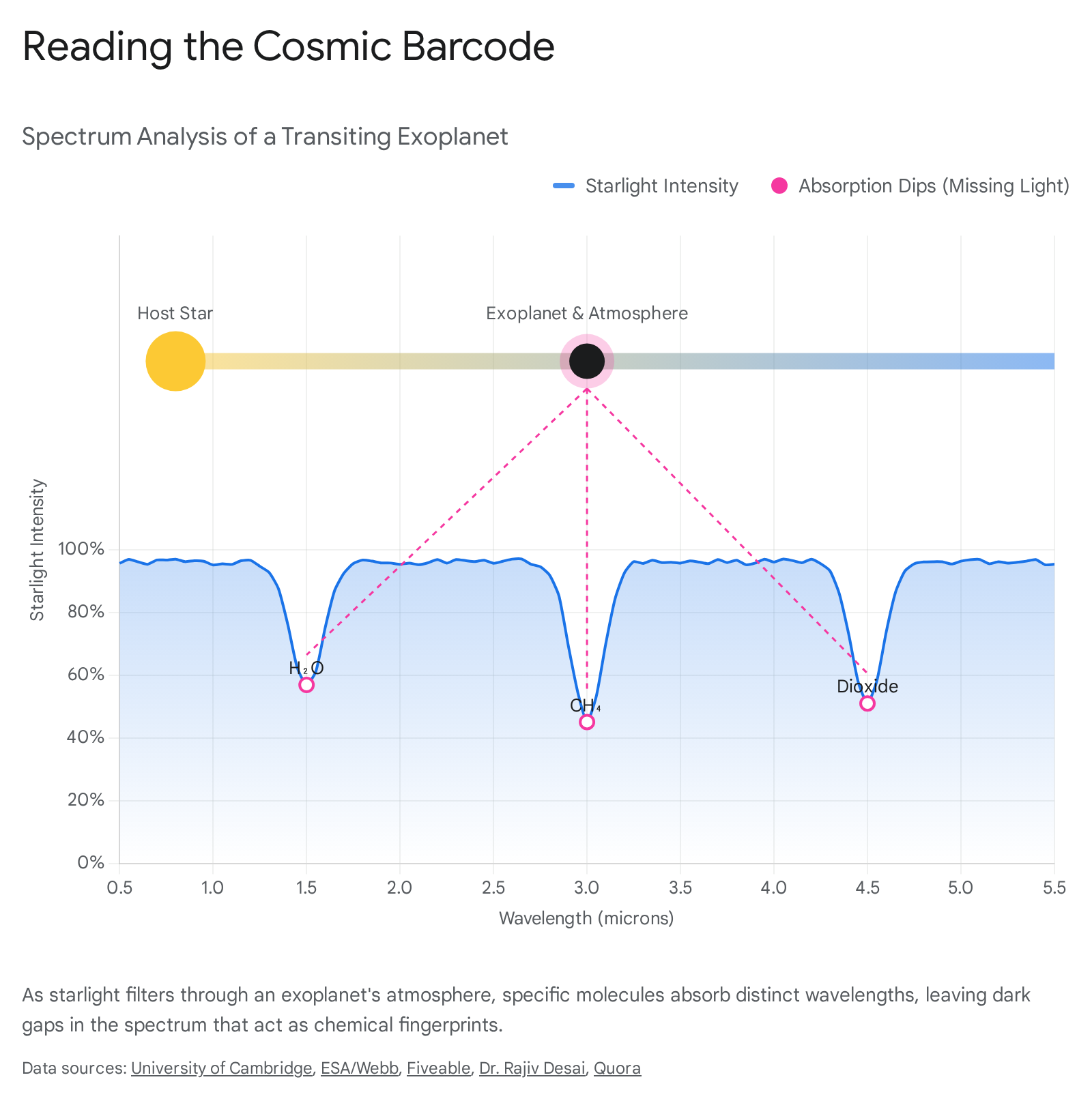 Research chart 1